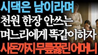 시댁은 남이라며 천원한장 안쓰는 며느리에게 똑같이 대하자 사돈까지 무릎꿇린 어머니/ 인간관계 / 이혼 / 고부갈등 / 파혼 / 사연 / 인생 / 부모자식 / 오디오북
