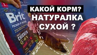 Натуральный корм или Сухой корм? Что мы выбираем и почему!