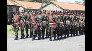 KDF FRIDAY BULLETIN