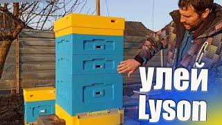 Обзор на улей lyson. Корпусный  улей на 10 рамок для пчел лысонь