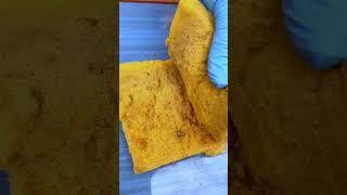 أسرع طريقة لإنبات البذور باسهل الطرق ج ١ @youtubecreators #YuoTubeHighFive