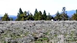 Homes for Sale - LOT 11 RIM DR - SPRAGUE RIVER, OR 97639 - Sheree Mauro