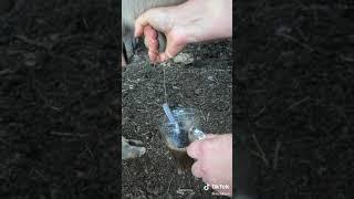 СЕЛЬСКИЙ БЛОГ