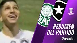 Palmeiras 1 x 3 Botafogo I Resumen del partido I Brasileirão 2024