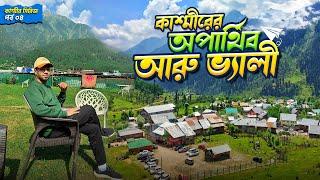 পেহেলগামের অফবিট জায়গাগুলো কেমন ছিল | Kashmir Series Part 04 | Run With Rajib