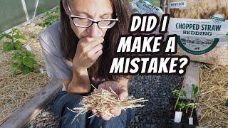 Testing straw for herbicides before using it in your garden