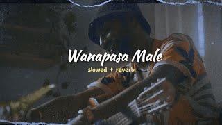 Wanapasa Male | වනපස මලේ (slowed+reverb) Mihiran feat. Themiya Thejan