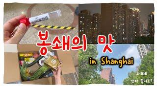 상하이 | 봉쇄의맛 | 무기한 강제 봉쇄중  | 도대체 언제 내보내줘요?