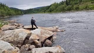 Gaula Salmon on Frostfly