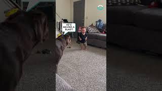 Adorable Baby Bash Plays with Dog Bestie || ViralHog