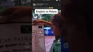 English VS Patwa