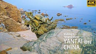 [4K 中国] 漫步烟台养马岛 | 4K 云散步 | China Walking Tour 漫游中国