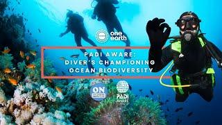 PADI AWARE: using citizen science to protect ocean biodiversity | One Earth