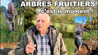 COMMENT TAILLER, PLANTER et CONNAITRE son ARBRE FRUITIER ? 