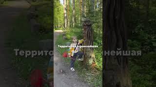 Загородный клуб «Дача» ЛО, Приозерский р-н  (Яндекс находит сразу если вводите «Дача») #спб #spb