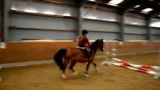 Reiten mit Behinderung - 1. Cavaletti Springstunde