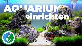 Aquarium einrichten [für Anfänger & Fortgeschrittene]