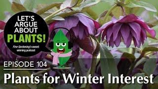 Episode 104: Plants for Winter Interest