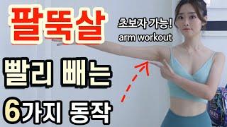 효과보장매일 하루 10분! 축 처진 팔뚝살 빨리 빠지는 6가지 동작 arms workout (팔뚝살 빨리 빼는법, 팔뚝살빼는운동)왕초보운동,왕초보홈트