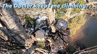 From Back Pain to Back in Action: My Story While Climbing a Rotted Tree