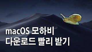 macOS 모하비(Mojave) 다운로드 빨리 받는 방법