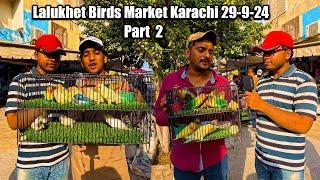 Lalukhet Rare and Unique Birds Market Part 2 Karachi 29-9-24 Latest Updated | نایاب پرندوں کا مرکز