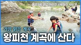 우리나라에서 제일 맑고 깨끗한 왕피천계곡! 그곳에서 함께 사는 사람들의 이야기