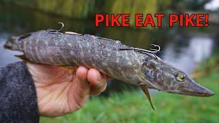 Using a PIKE to Catch a Bigger PIKE!