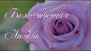 Божественная Любовь.