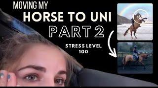 Moving My Horse to Uni Pt 2: Long COVID, Injuries and Stress!