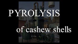 Pyrolysis of cashew shells. Results. Pyrolysis plant FORTAN