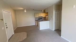 1275 Lake Shadow Circle #13206 Maitland, FL 32751