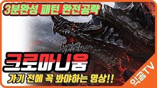 크로마니움 모든 패턴 공략!! 꼭 보고가세요｜익곰TV｜LOST ARK RAID｜로스트아크