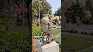 Anh em Ngắm Chậu hoa Sứ