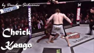 Roy Nelson • Top 5 Brutal wins