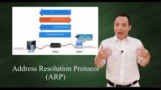 Address Resolution Protocol (ARP)