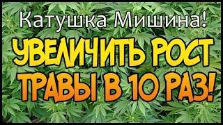 Катушка Мишина! Эксперимент. ШОК!