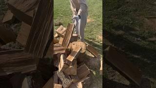 splitting oak logs with an axe🪵🪓️ #splittingfirewood #woodworking