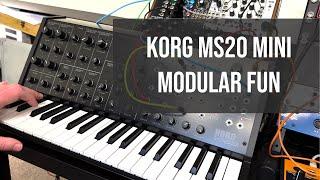 Korg MS20 Mini plus Moog DFAM equals nasty