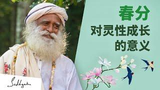 春分对灵性成长的意义 | Sadhguru 萨古鲁