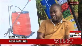 EMISSION TO PESELA AVEC MULAMBA Mr THYS NA Mauroux  BA PESELI PONA AGRICULTURE 04 OCT 2024 Partie2