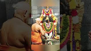 "Divine Light of Our Path – Yadugiri Yathiraja Jeeyar Swamy "