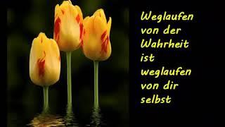 Entspannung - Musik - Natur - Zitate ~ Relax - Music - Nature Quotes