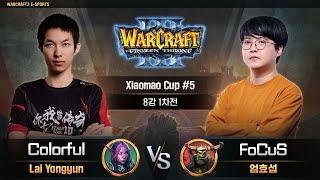 Colorful(N) vs FoCuS(O) / Xiaomao Cup 5 8강 1차전 워크래프트3, Warcraft3