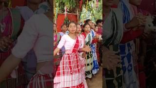 DOMUHANI LAGNE ENEJ #shorts #santali #lagne #enej #shortvideo #bodo boyha