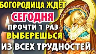 22 июня НЕ ПРОПУСТИ! БОГОРОДИЦА поможет прямо сейчас! Молитва Ярославской Богородице Православие