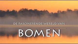 Trailer Fascinerende wereld van bomen