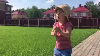 Одуванчик.