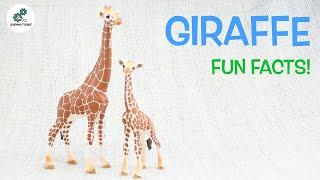 GIRAFFE FACTS! | Fun & Educational | For Kids | Best Animal Facts | From Learning Toolkit