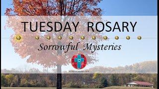 Tuesday Rosary • Sorrowful Mysteries of the Rosary  November 5, 2024 VIRTUAL ROSARY - MEDITATION